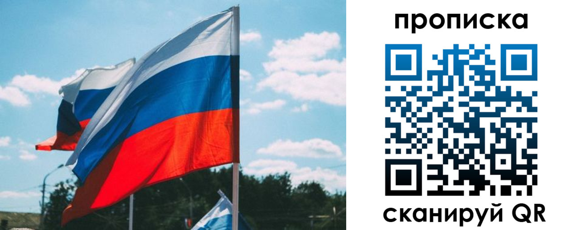 прописка поиск в Курске