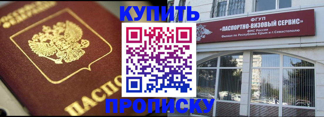 прописка законно в Курске